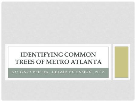 BY: GARY PEIFFER, DEKALB EXTENSION, 2013 IDENTIFYING COMMON TREES OF METRO ATLANTA.