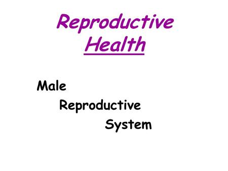 Reproductive Health Male Reproductive System.