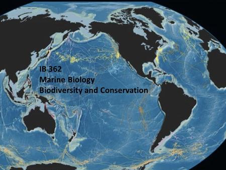 IB 362 Marine Biology Biodiversity and Conservation.