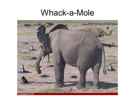 Whack-a-Mole.