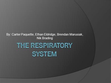 bronchial asthma case study ppt