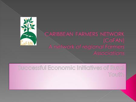 Legally registered non-profit, non- governmental regional umbrella farmer organisation.  Formed and initiated by farmer organisations across the Caribbean.