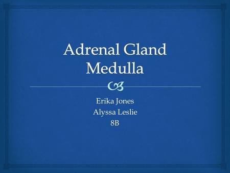 Erika Jones Alyssa Leslie 8B  location  The adrenal gland medulla sits atop the kidney.