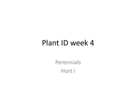 Plant ID week 4 Perennials Hort I Hemerocallis cvs. Common name: Daylily Each bloom only blooms for ONE day! Not a true lily Daylilies are useful in.