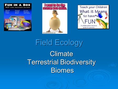 Climate Terrestrial Biodiversity Biomes