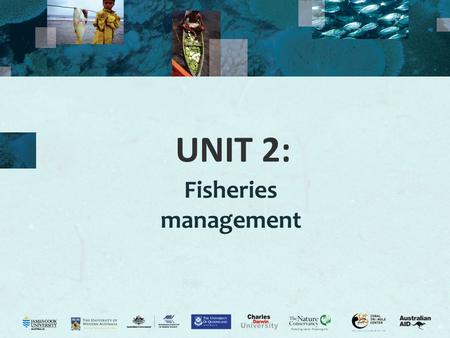 UNIT 2: Fisheries management. 2 Purpose of management Activity 2.1: Class views on what is fisheries management? What is fisheries management? “The application.
