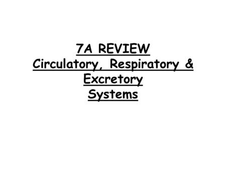 7A REVIEW Circulatory, Respiratory & Excretory Systems.