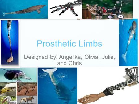Prosthetic Limbs Designed by: Angelika, Olivia, Julie, and Chris.