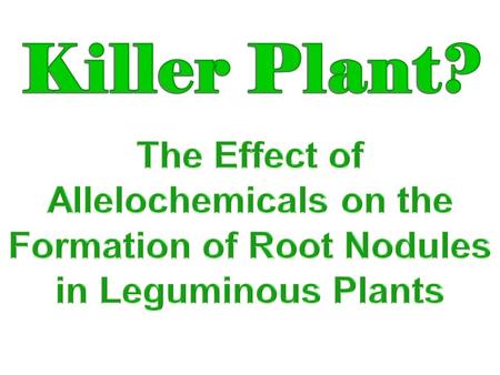 Does alfalfa- leaf extract, an allelochemical, affect the formation of root nodules of leguminous plants?