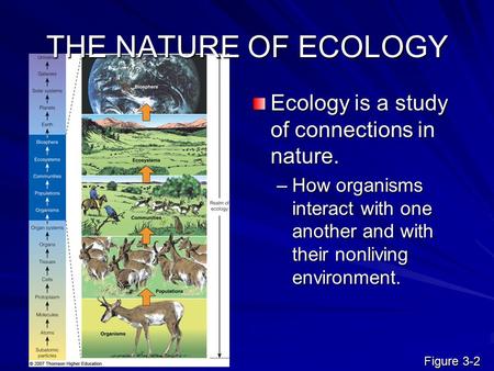 THE NATURE OF ECOLOGY Ecology is a study of connections in nature.