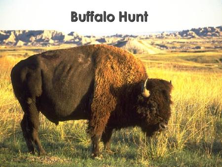 Buffalo Hunt Word Knowledge Grade 5, Unit 5 - Lesson 2 Line 1: night knight plains planes tale tail Line 2: buffalo deer bison elk fish Line 3: stretch.