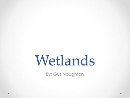 Wetlands By: Gus Naughton.