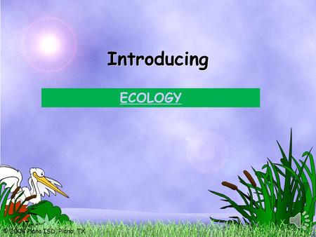 © 2004 Plano ISD, Plano, TX Introducing ECOLOGY. © 2004 Plano ISD, Plano, TX Today: You will explore the diverse relationships within an ecosystem. You.
