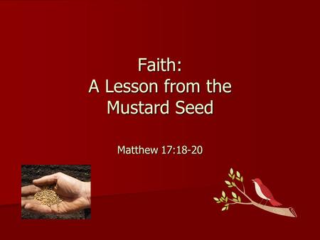 Faith: A Lesson from the Mustard Seed Matthew 17:18-20.