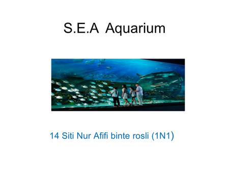 S.E.A Aquarium 14 Siti Nur Afifi binte rosli (1N1 )