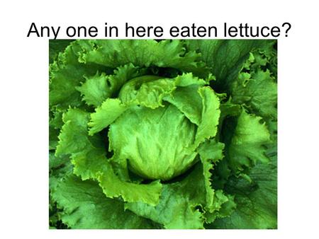 Any one in here eaten lettuce?. Anyone in here found a ‘creepy- crawly’ on the lettuce? Maybe a slug?