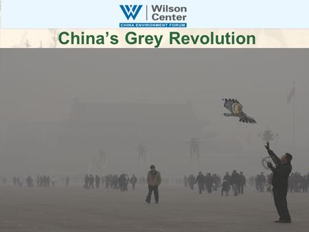 China’s Grey Revolution. China Environment Forum Convener, Information Clearinghouse, Matchmaker Cooperative Competitors: Building New US-China Clean.