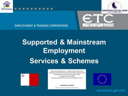 Supported & Mainstream Employment Services & Schemes.