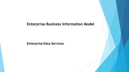 Enterprise Business Information Model Enterprise Data Services.