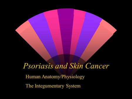 Psoriasis and Skin Cancer Human Anatomy/Physiology The Integumentary System.