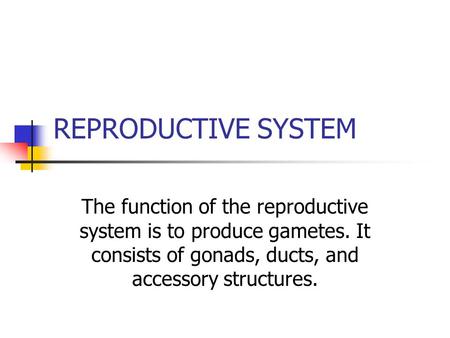 REPRODUCTIVE SYSTEM The function of the reproductive system is to produce gametes. It consists of gonads, ducts, and accessory structures.