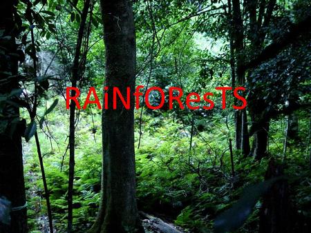 RAiNfOResTS. What Makes a Rainforest A rainforest is made of thousands plants and animals.