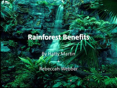Rainforest Benefits By Hatty Martin + Rebeccah Webber.