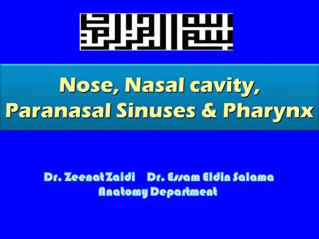 Nose, Nasal cavity, Paranasal Sinuses & Pharynx