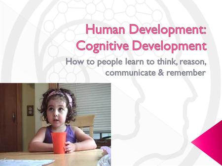 Human Development: Cognitive Development