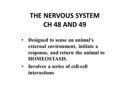 THE NERVOUS SYSTEM CH 48 AND 49 Designed to sense an animal’s external environment, initiate a response, and return the animal to HOMEOSTASIS Involves.