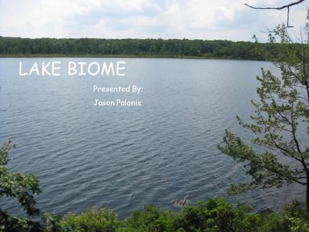 LAKE BIOME Presented By: Jason Palonis.