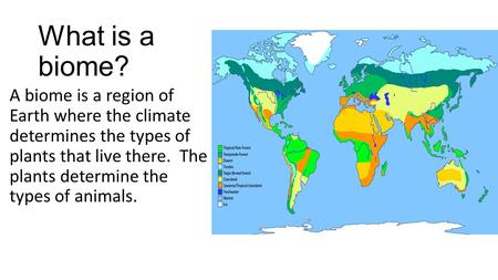 What is a biome? A biome is a region of Earth where the climate determines the types of plants that live there. The plants determine the types of.