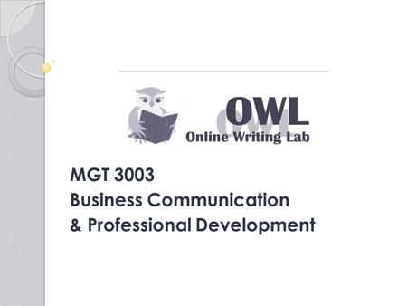 MGT 3003 Business Communication & Professional Development.