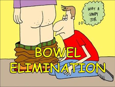 BOWEL ELIMINATION Bowel elimination is a basic physical need. It is the excretion of wastes from the digestive system. As a health care worker, you will.