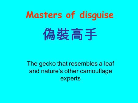 The gecko that resembles a leaf and nature's other camouflage experts 偽裝高手 Masters of disguise.
