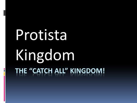 The “Catch All” Kingdom!