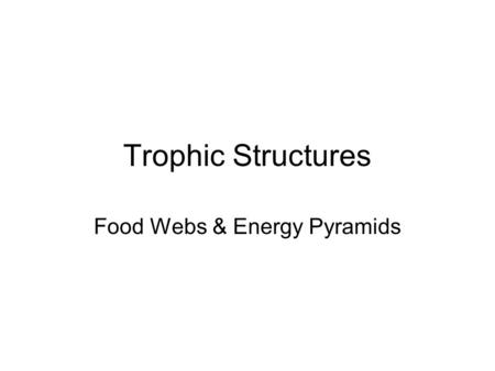 Food Webs & Energy Pyramids