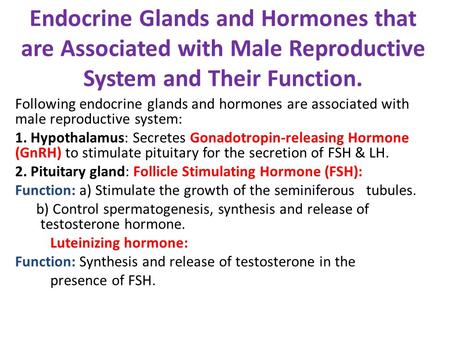 Endocrine Glands and Hormones that are Associated with Male Reproductive System and Their Function. Following endocrine glands and hormones are associated.