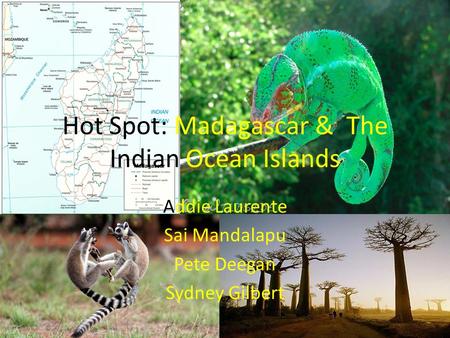 Hot Spot: Madagascar & The Indian Ocean Islands
