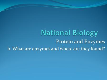 Protein and Enzymes b. What are enzymes and where are they found?