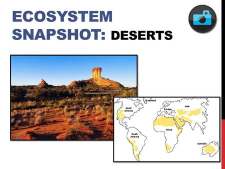Ecosystem Snapshot: Deserts