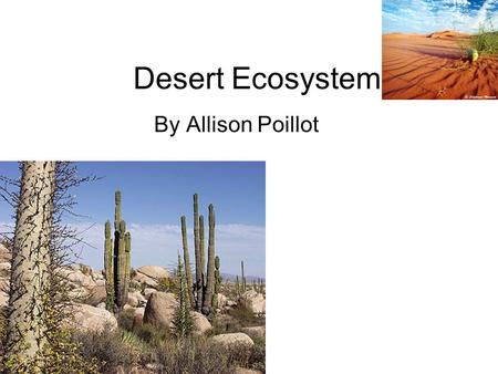 Desert Ecosystem By Allison Poillot. Climate The desert is very dry and warm. A very little amount of rain rains a year. Some deserts can be over 100.
