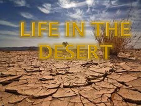 What is a desert? Deserts can be hot or cold but they are always dry. They receive less than 25 cm of precipitation annually. They cover 22 million km.