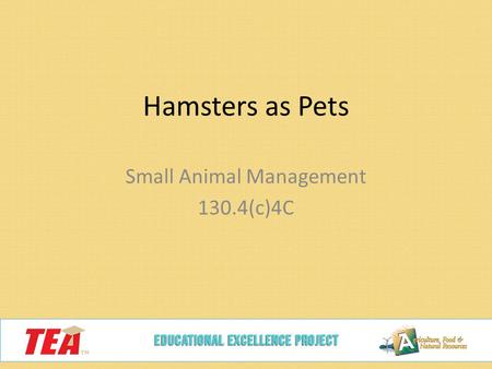 Hamsters as Pets Small Animal Management 130.4(c)4C.