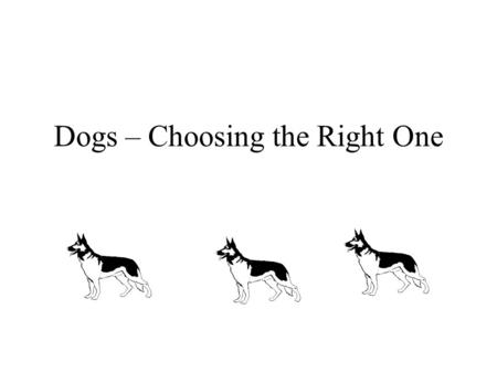 Dogs – Choosing the Right One. Early Decisions Who is going to care for Fido Housetraining Are you moving?