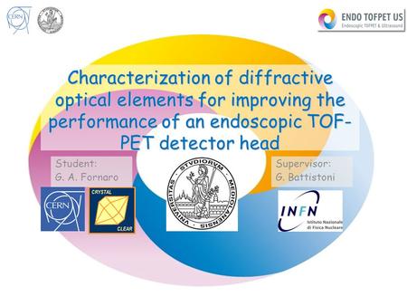 8/18/2015G.A. Fornaro Characterization of diffractive optical elements for improving the performance of an endoscopic TOF- PET detector head Student: G.