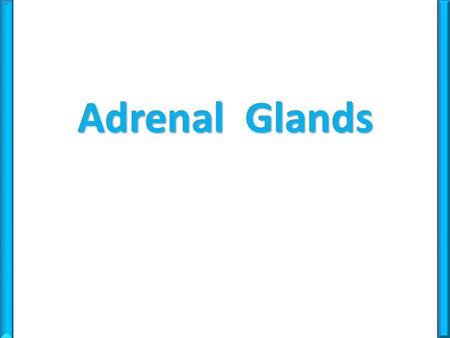 Adrenal Glands.