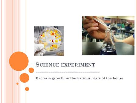 S CIENCE EXPERIMENT ---------------------------------- Bacteria growth in the various parts of the house.