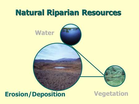 Natural Riparian Resources Erosion/Deposition Water Vegetation.