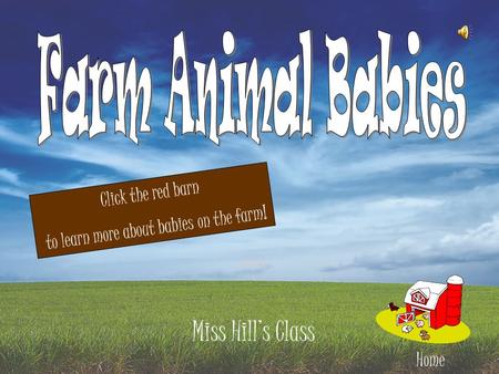 Miss Hill’s Class Home Click the red barn to learn more about babies on the farm!